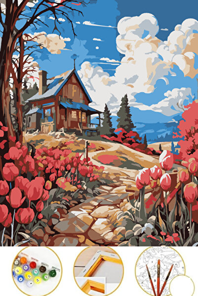 Puzzle Sayılarla Boyama Tuval Seti Fırça Boya Dahil (çıtalı)  MANZARA