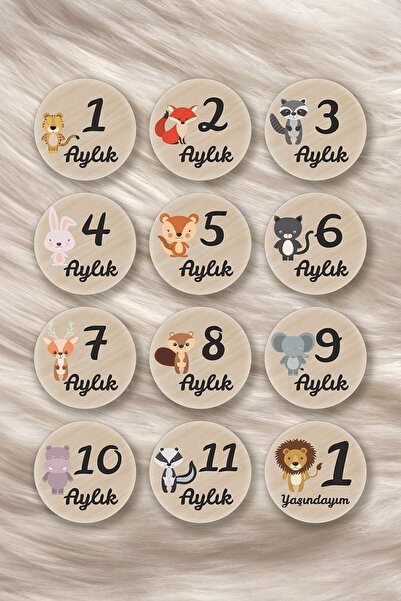 Kapbirhediye Bebek Fotoğraf Kartları Ahşap Aylık Anı Kartı Seti Yeni Doğan An...