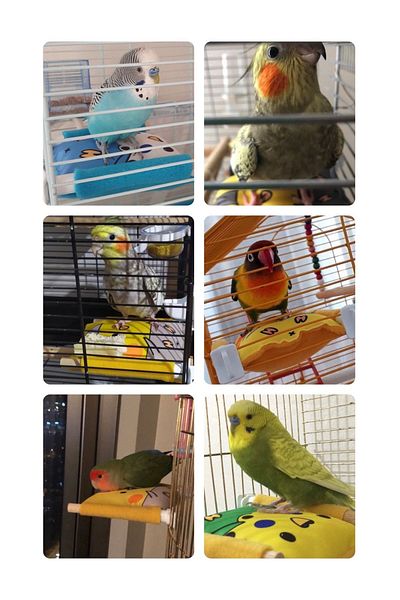 Kuşarkadaşım Bird Bed Soft Resting Pillow Double Sided Sleeping Perch Red Lovebird Bed Perch