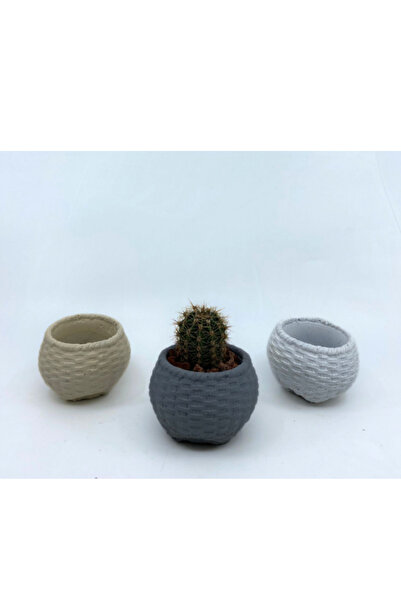 MF Botanik مجموعة سعة 0.15 لتر مكونة من 15 وعاء زهور خرساني ونمط صبار عصاري