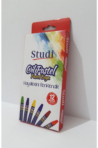 renkli çiçekler 12 Color Pastel Paint