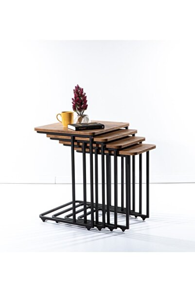 Saha Möble Mono C Zigon 4'lü Atlantik Çam