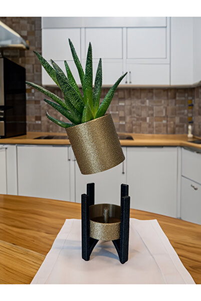 Paprika Mini Saksı: Şık Ve Modern Tasarım Fuzzy