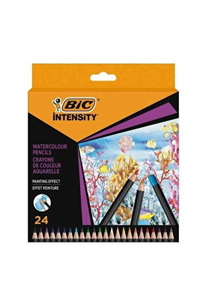 Bic Intensty Kuru Sulu Boya 24 Lü 511727