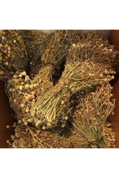 DOĞA NİMETİ Üzerlik Otu Tütsüsü 1 Demet Nazar Otu