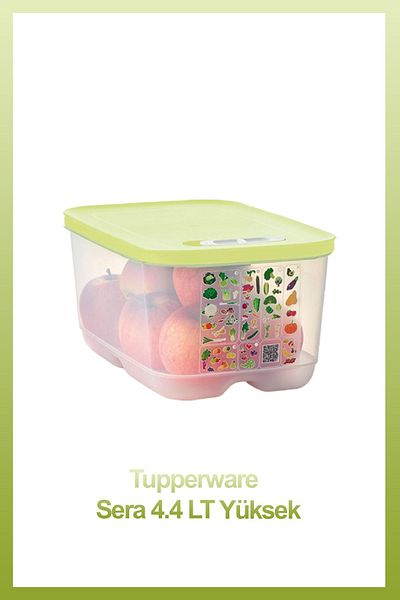 Tupperware Greenhouse Series 4-Piece - Lime and Yellow Pot, New Model