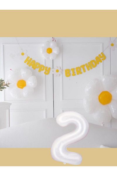 Partifabrik 2 Year Old Happy Birthday Daisy Themed Birthday Set
