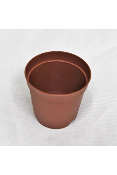 Genel Markalar 5,5cm Kahverengi Üretim Saksısı, 10 Adet, Kaktüs Ve Sukulent S...