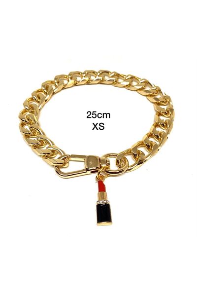 Petbucks Pet Accessories قلادة سلسلة ذهبية على شكل كلب قط Xs 25 سم 2107zkruj