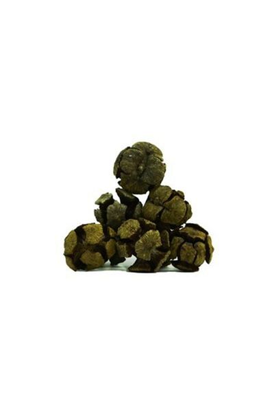 bitki diyarı Selvi Kozalağı 50 gr