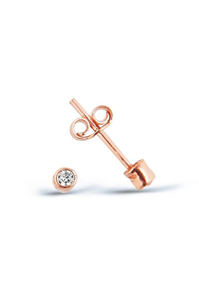 Argentum Concept 925 Ayar Gümüş Rose Mini Zirkon Tektaş Küpe - K037601