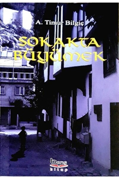 Generic Brand Sokakta Büyümek - - A. Timur Bilgiç Kitabı