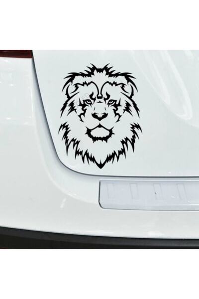 TSC Aslan Araba Sticker Yapıştırması 16cm