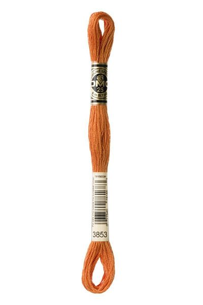 Dmc Muline Yarn 3853