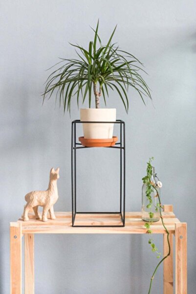 MERZANA Metal Çiçeklik Ve Saksılık, Dekoratif Saksı Rafı