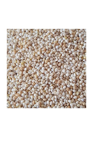 katzoo Maykaju Muhabbet Kuşu Yemi Ak Darı (çuvaldan Açık 5kg )