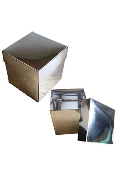 TT Tahtakale Toptancıları Complete Carton Box 10X10X10 (10 Pieces) Silver
