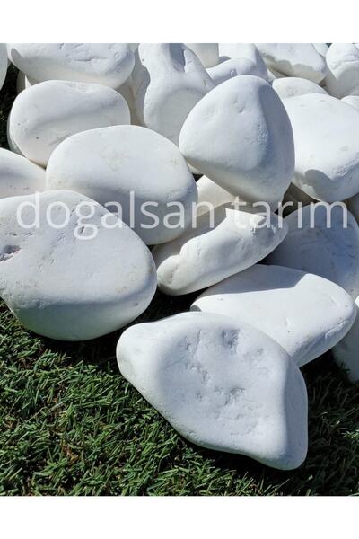 Doğalsan Tarım Beyaz Dolomit Taş 25 Kg 6-10 Cm Dere Taşı Çakıl Taşı Saksı Taş...