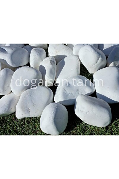 Doğalsan Tarım Beyaz Dolomit Taş 3 Kg 4-6 Cm Dere Taşı Çakıl Taşı Saksı Taşı ...