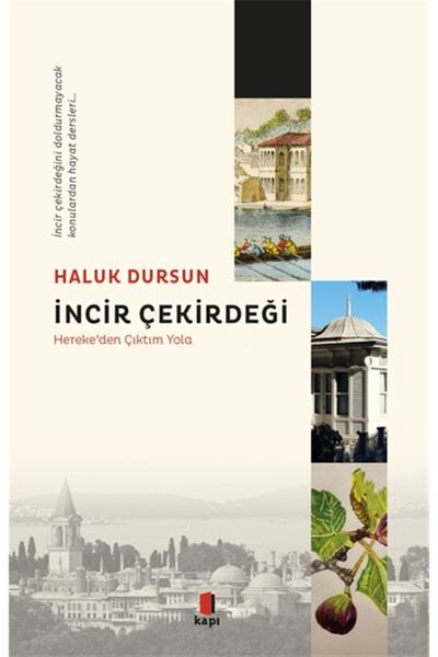 Kapı Yayınları İncir Çekirdeği kitabı / Haluk Dursun / Kapı Yayınları