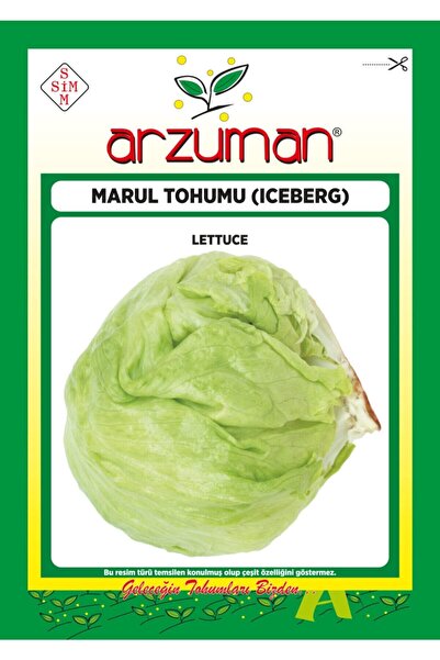 Arzuman Iceberg Marul Tohumu 5 Gram