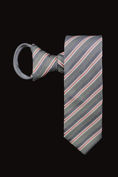 PROKRAVAT Striped Zippered Tie