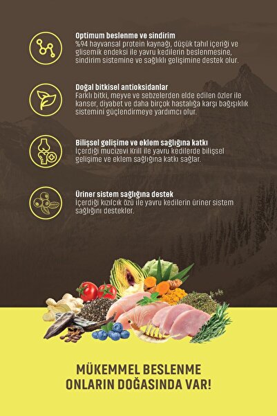 Spectrum Low Grain Tavuklu Hindili Kızılcıklı Yavru Kedi Maması 12 Kg.