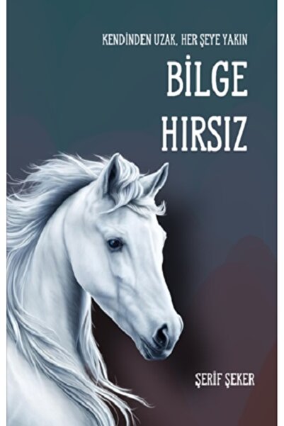 Luna Yayınları Bilge Hırsız Şerif Şeker Kitabı 330 Sayfa Luna Yayınları