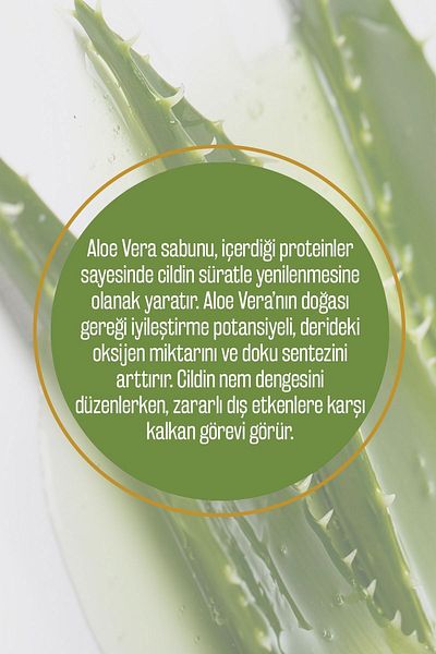 Olivos 100% Natural Spa Series Aloe Vera And Olive Oil Solid Soap Hand Soap Moisture Balancing 250 gr