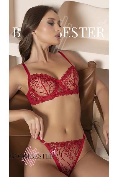 BoomBester Lace Tulle Patterned Embroidered Red Bra Panty Set