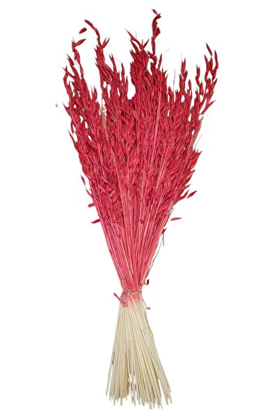 Dekora Çiçek مزهرية زهرة الأفينيا الجافة، مزهرية