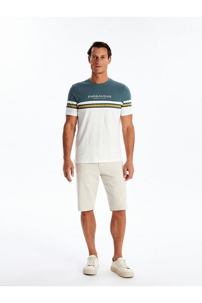 LC Waikiki Color Blocked Crew Neck Short Sleeve Men's Combed Cotton T-Shirt