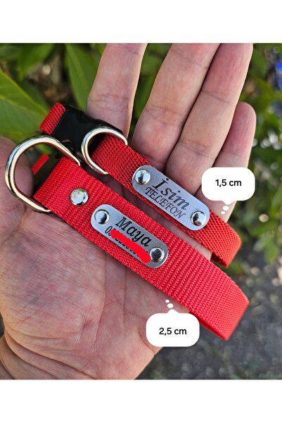 hebmeyy Köpek Tasma Seti Sallanmayan Isimlikli, Boyun Tasma Gezdirme Künyeli, Yavru Ve Orta Irk Köpekler