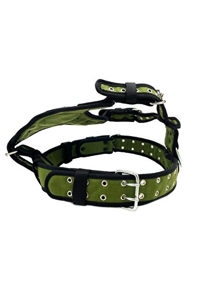 Tasma Market Premium Khaki Shiba Inu Dog Chest and Waist Collar