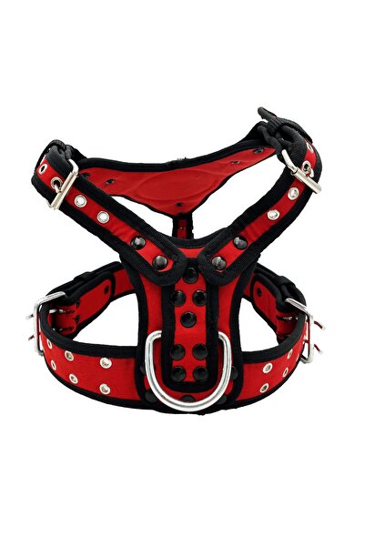 Tasma Market Kırmızı Shiba Inu Köpek Göğüs Tasması Bel Tasması Premium