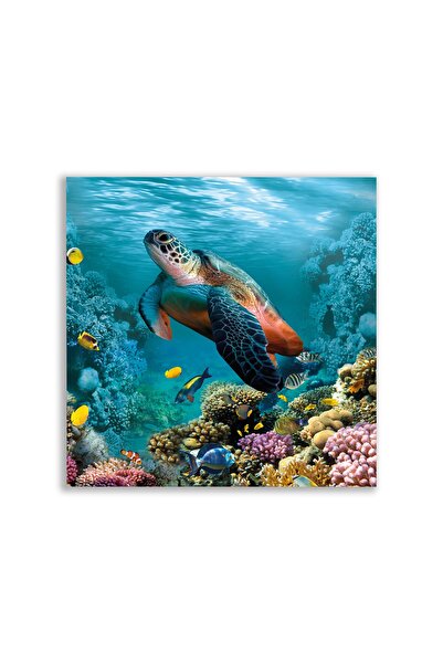 vientex Su Altı Dünyası Kaplumbağa Tablosu - ANL119