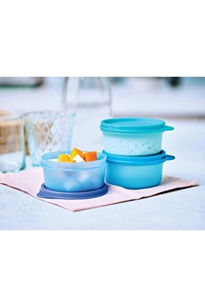 Tupperware 250 ml 3'lü Mini Buzdolabı Set Saklama Kabı