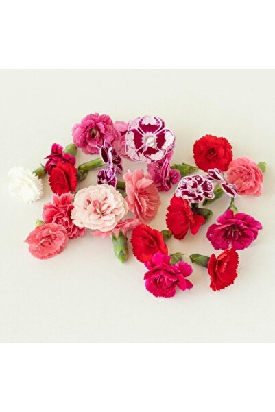 Mimi Çiftliği Yenilebilir Çiçek Karanfil (20 Adet Çiçek)