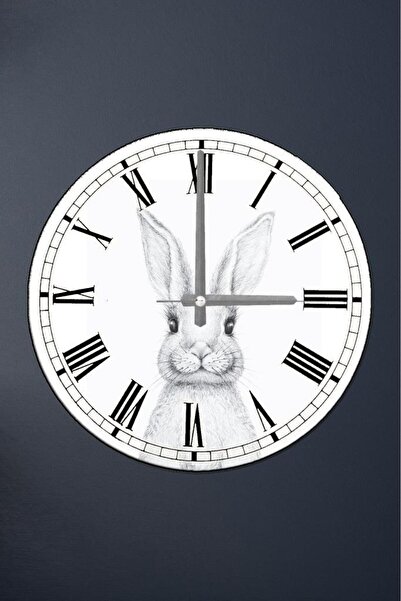 Saban Çap 37 Cm Tavşan Dekoratif Cam Duvar Saati