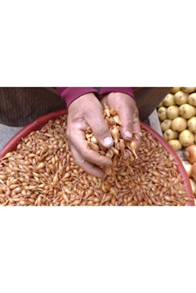 Genel Markalar Arpacık Soğan Kıska 1kg