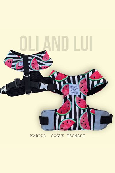 Oli and Lui Dog Collar - Watermelon Pattern