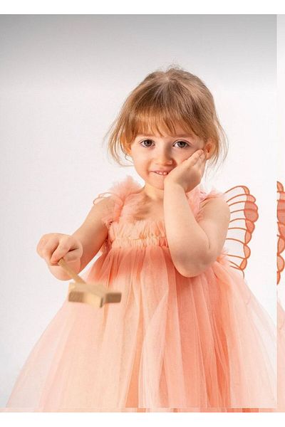 Kokosh kidss Girl's Winged Tulle Lining Dress for Birthday