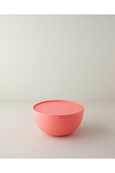 English Home حاوية تخزين بلاستيكية سعة 4 لتر من Dried Rose Blitz