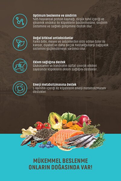 Spectrum LOW GRAİN SOMONLU HAMSİLİ YABAN MERSİNLİ ORTA VE BÜYÜK IRK YETİŞKİN KÖPEK MAMASI 12 KG