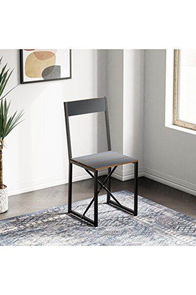 eportatif Mutfak Sandalyesi Salon Balkon Atlantik Sandalye Füme 1419