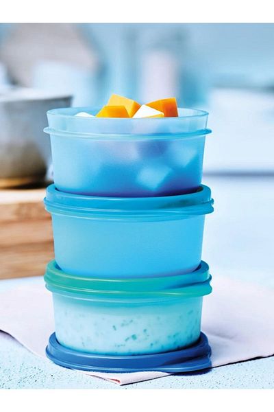 Tupperware Refrigerator Storage Container Set of 10