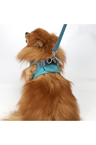 Petköy Dog Chest Collar Set is Sent Beside the Strap Dog Walking Collar Dog Collar