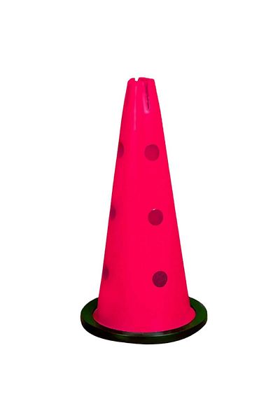 Kodispa 1 Perforated Training Funnel with Rubber Base