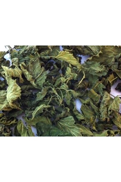 DOĞA NİMETİ Isırgan Otu 1 KG ORGANİK ( Doğal Kurutulmuş, Elenmiş, Katkısız )