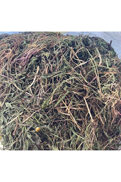 DOĞA NİMETİ KARAHİNDİBAĞ 300 GR ORGANİK ( Doğal Kurutulmuş, Elenmiş, Katkısız )